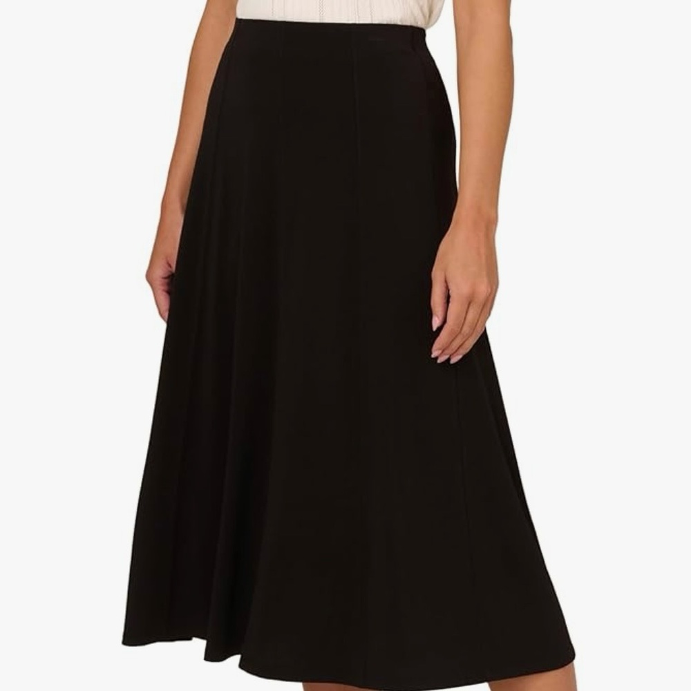 DANA BUCHMAN A-line Full Midi Skirt NWOT